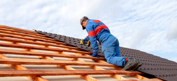  Park Ridge, IL Roofing services Pros