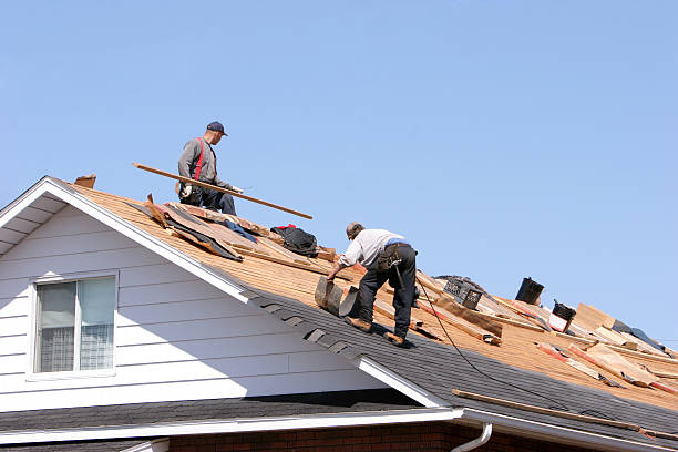 Best Steel Roofing  in Park Ridge, IL